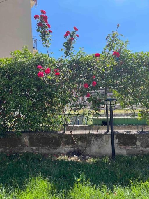 Casa Ale 5 Terre Guest House Con Giardino La Spezia Buitenkant foto
